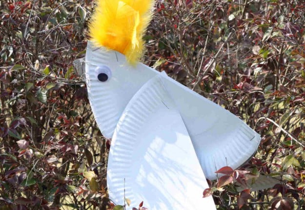 Paper Plate cockatoo